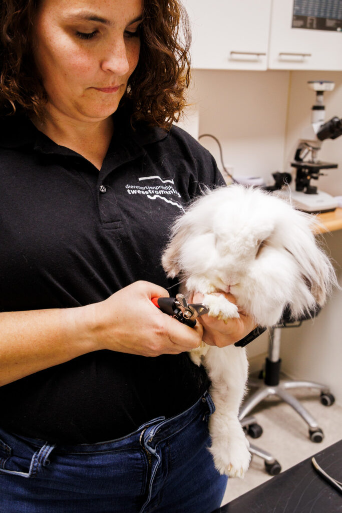 Praktijk DAP Tweestromenland, Dierenartsenpraktijk Tweestromenland